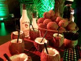 Yussara Kokosnuss Cocktailbar, Live Show Coconut Drinks, Malibu Rum, Yussara Cunha, Kokosnuss, Coconut Bar (33).jpg